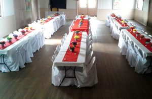 collector community hall birthday party colour